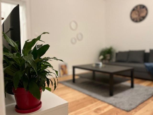 Apartmán Cosy Rent-Strasbourg Gare 1-Wifi Exteriér fotografie