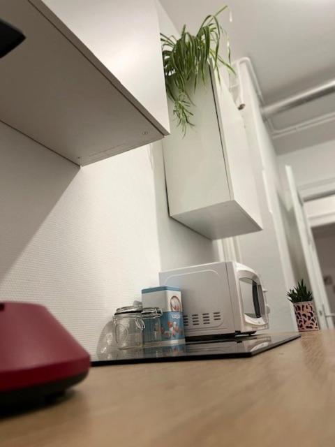 Apartmán Cosy Rent-Strasbourg Gare 1-Wifi Exteriér fotografie