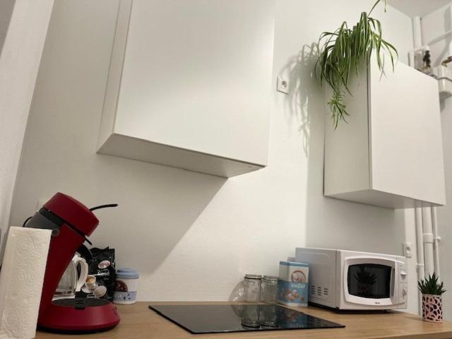 Apartmán Cosy Rent-Strasbourg Gare 1-Wifi Exteriér fotografie