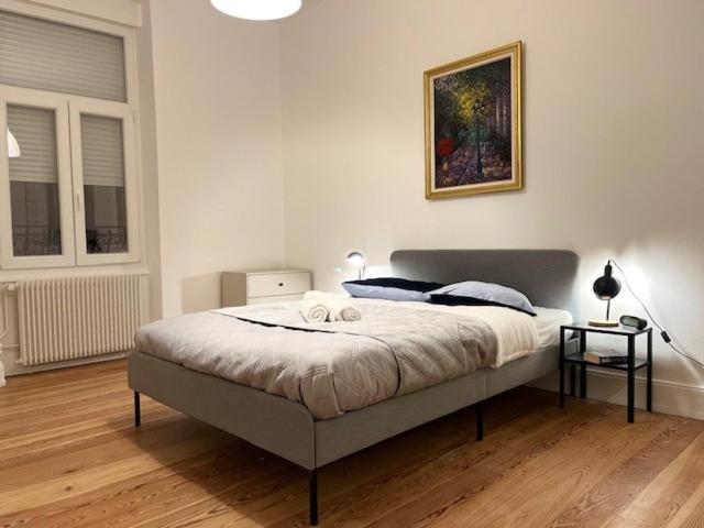 Apartmán Cosy Rent-Strasbourg Gare 1-Wifi Exteriér fotografie