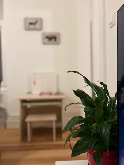 Apartmán Cosy Rent-Strasbourg Gare 1-Wifi Exteriér fotografie